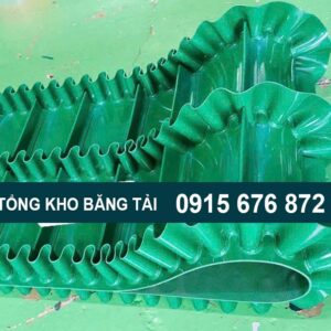 Băng tải pvc dán gờ-bèo 2 dãy