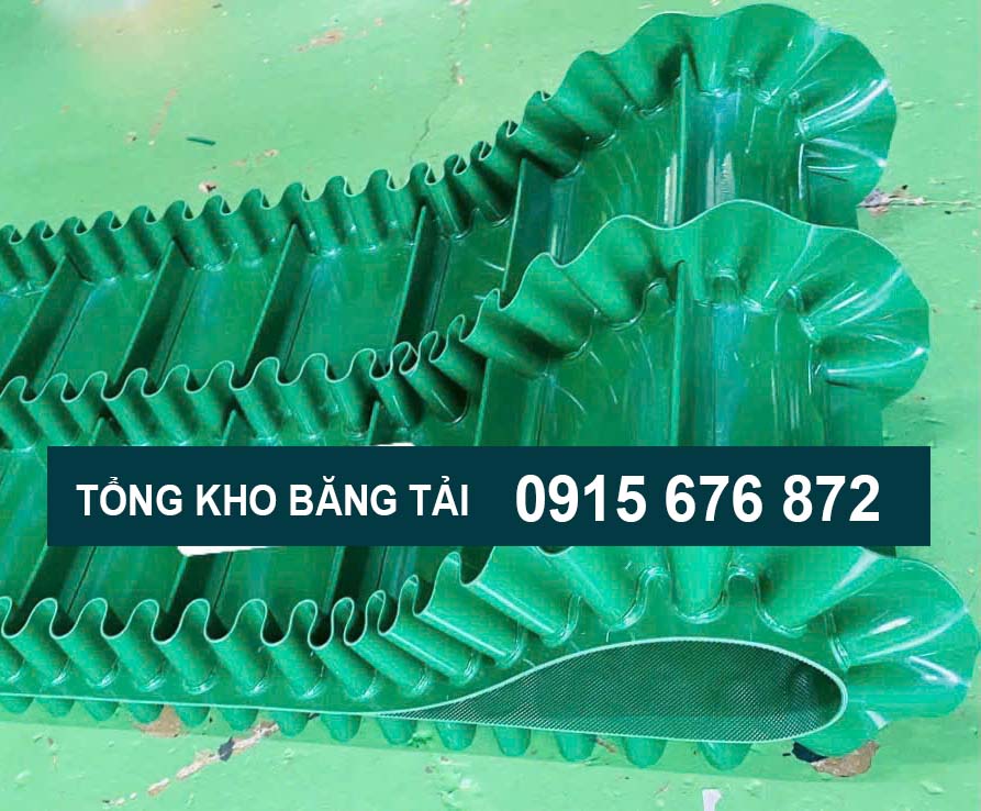 Băng tải pvc dán gờ-bèo 2 dãy