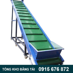 Mô hình băng tải pvc dán gờ