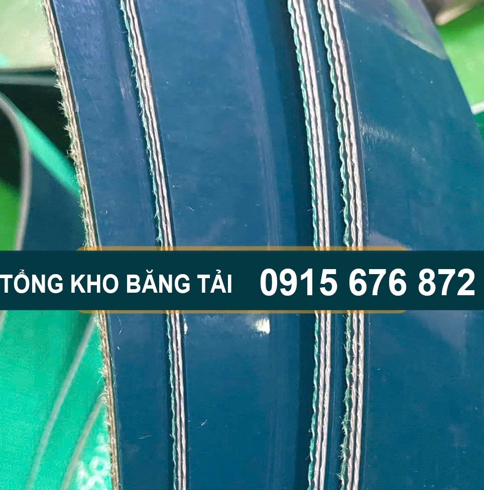 Băng tải ngành đá tại tổng kho băng tải
