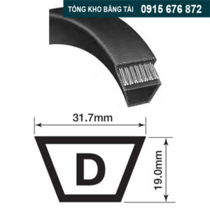 Cấu tạo dây curoa D
