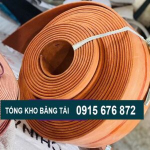 Dây trân nâu B300